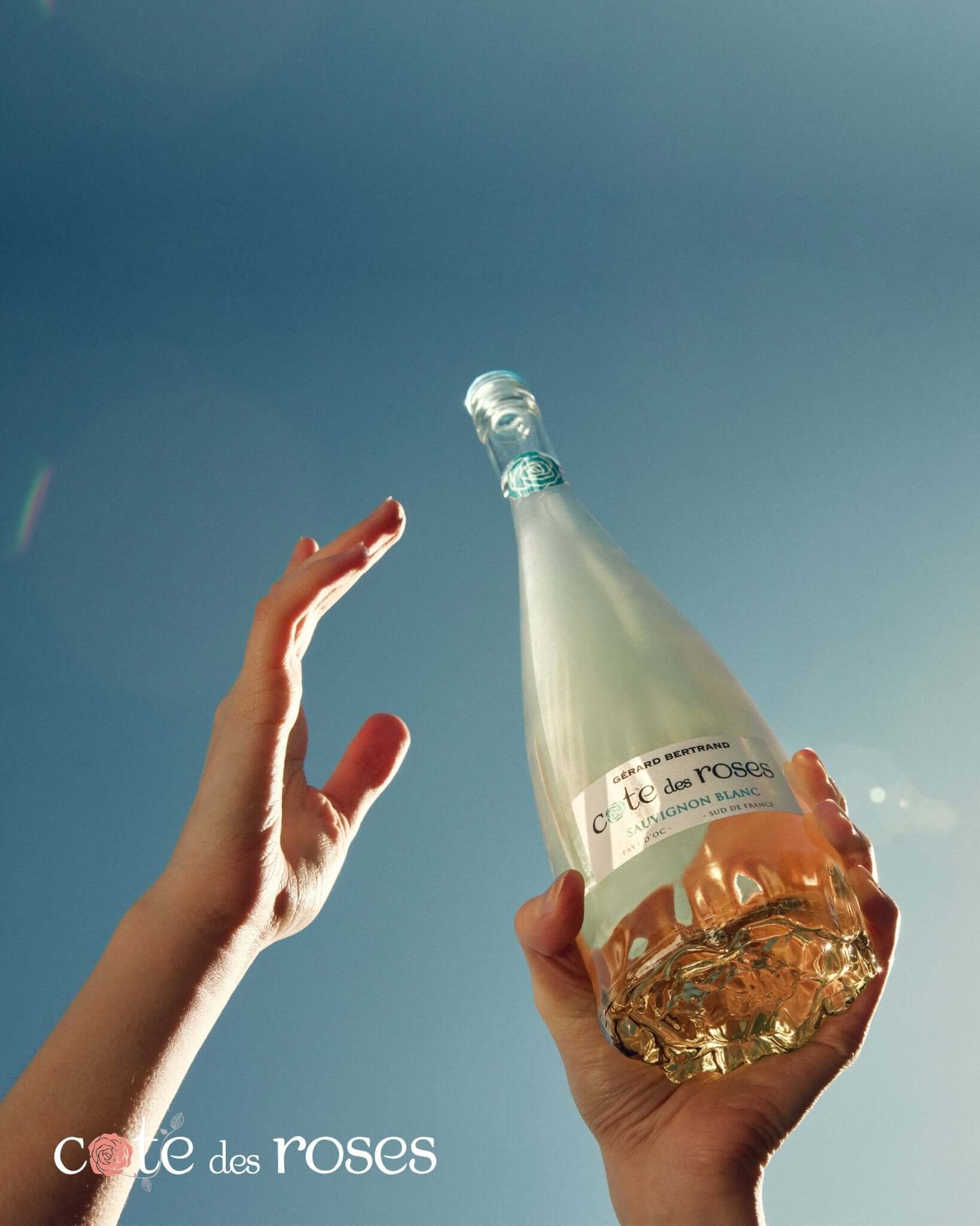 Cote des Roses sauvignon blanc - Main Street Liquor