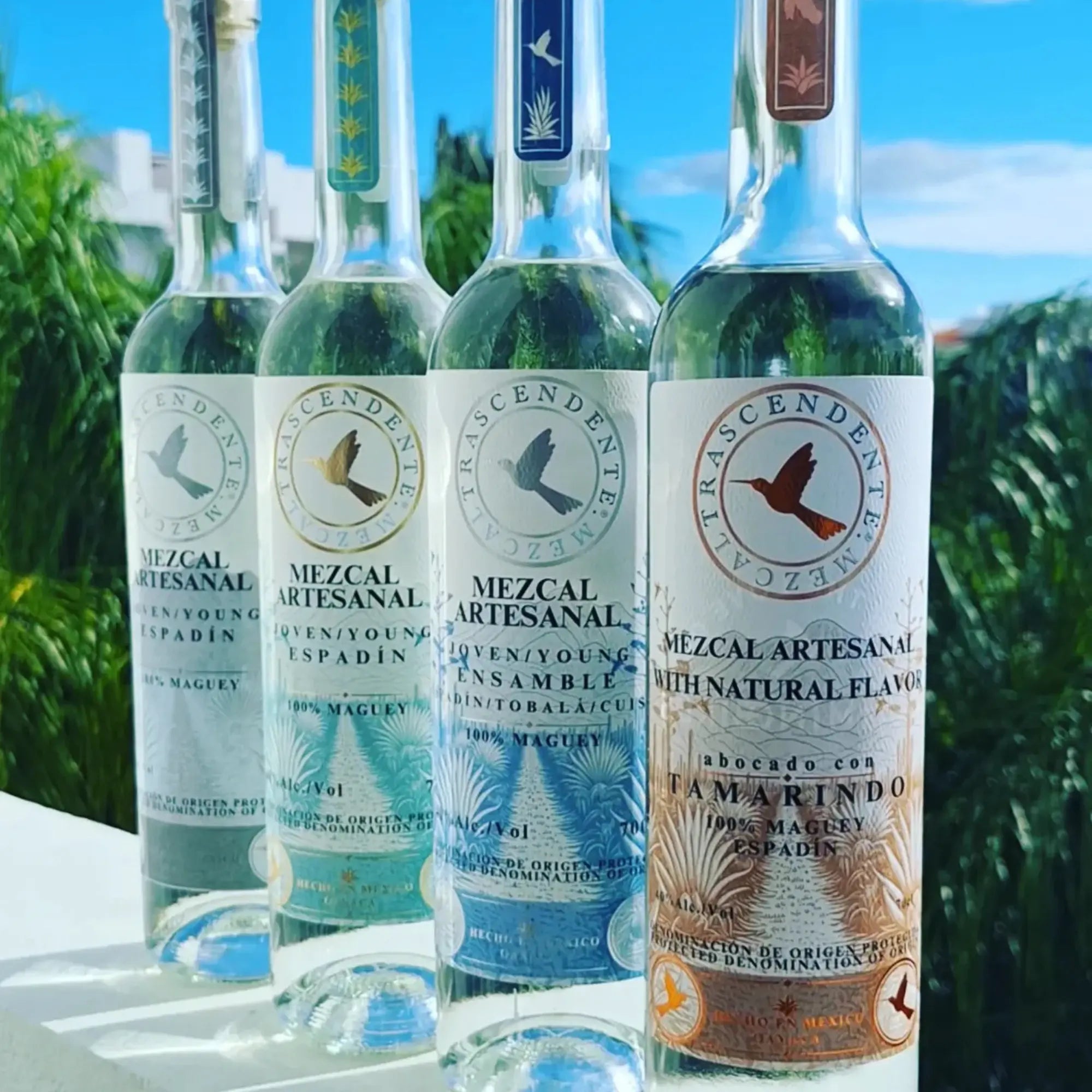 Four bottles of Mezcal Trascendente Espadin Selecto 700ml stand in a row on a white outdoor surface, framed by palm trees and a bright blue sky.