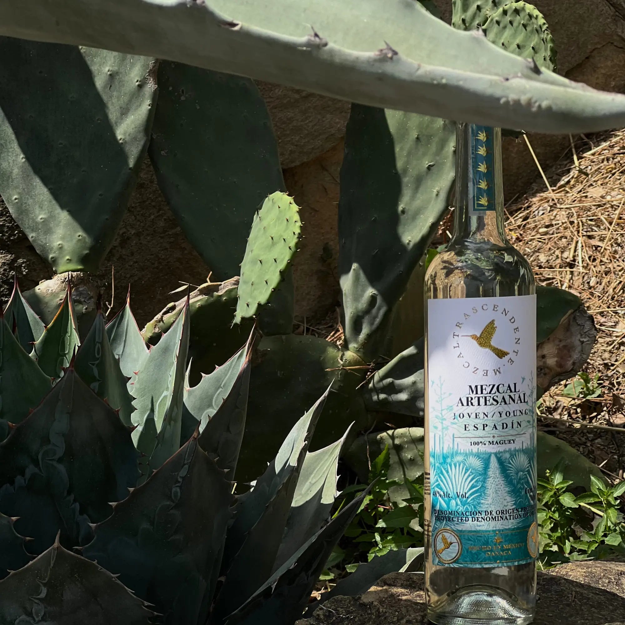 A clear bottle of Mezcal Trascendente Espadin Selecto 700ml rests among agave and cactus in a sunlit desert. The bottle showcases a blue and gold label with agave artwork, highlighting the Mezcal Trascendente brand’s artisanal quality.