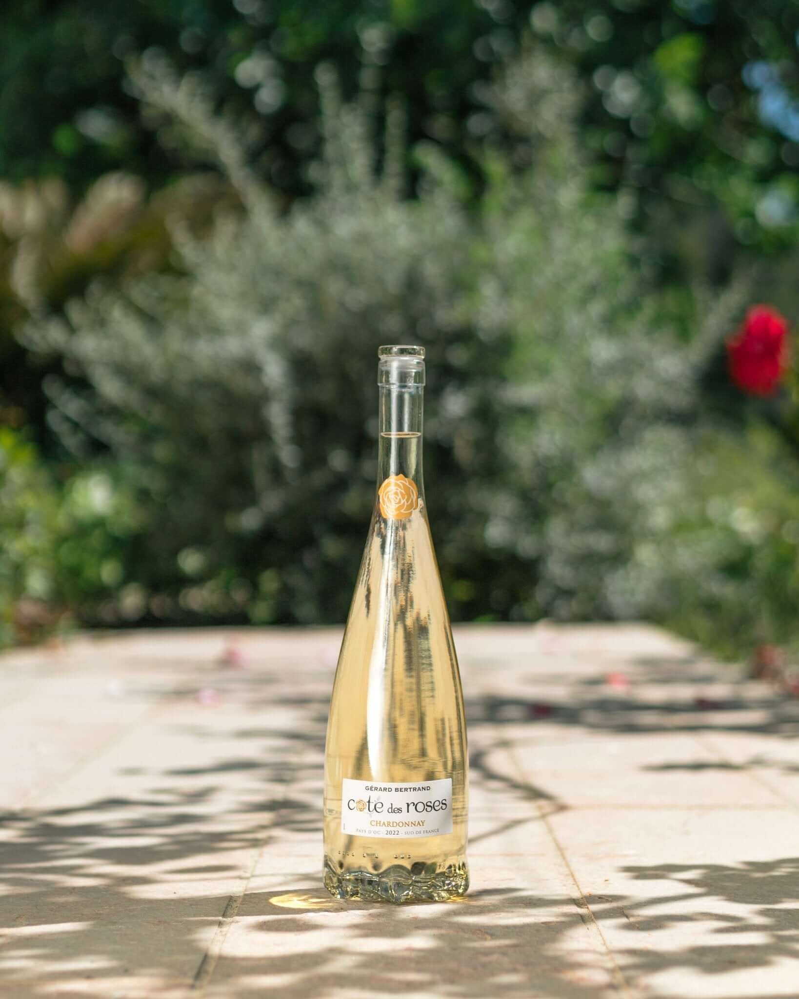 Cote des Roses chardonnay 750ml - BuyMyLiquor