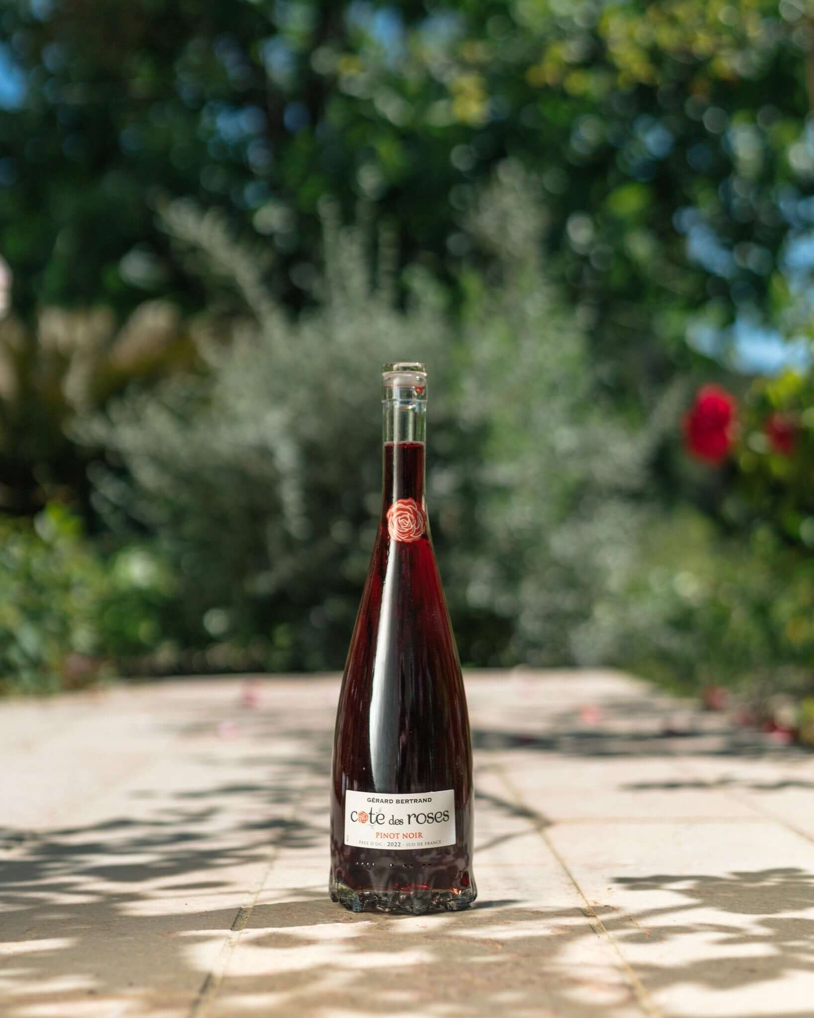Cote des Roses Pinot noir (750ml) - BuyMyLiquor