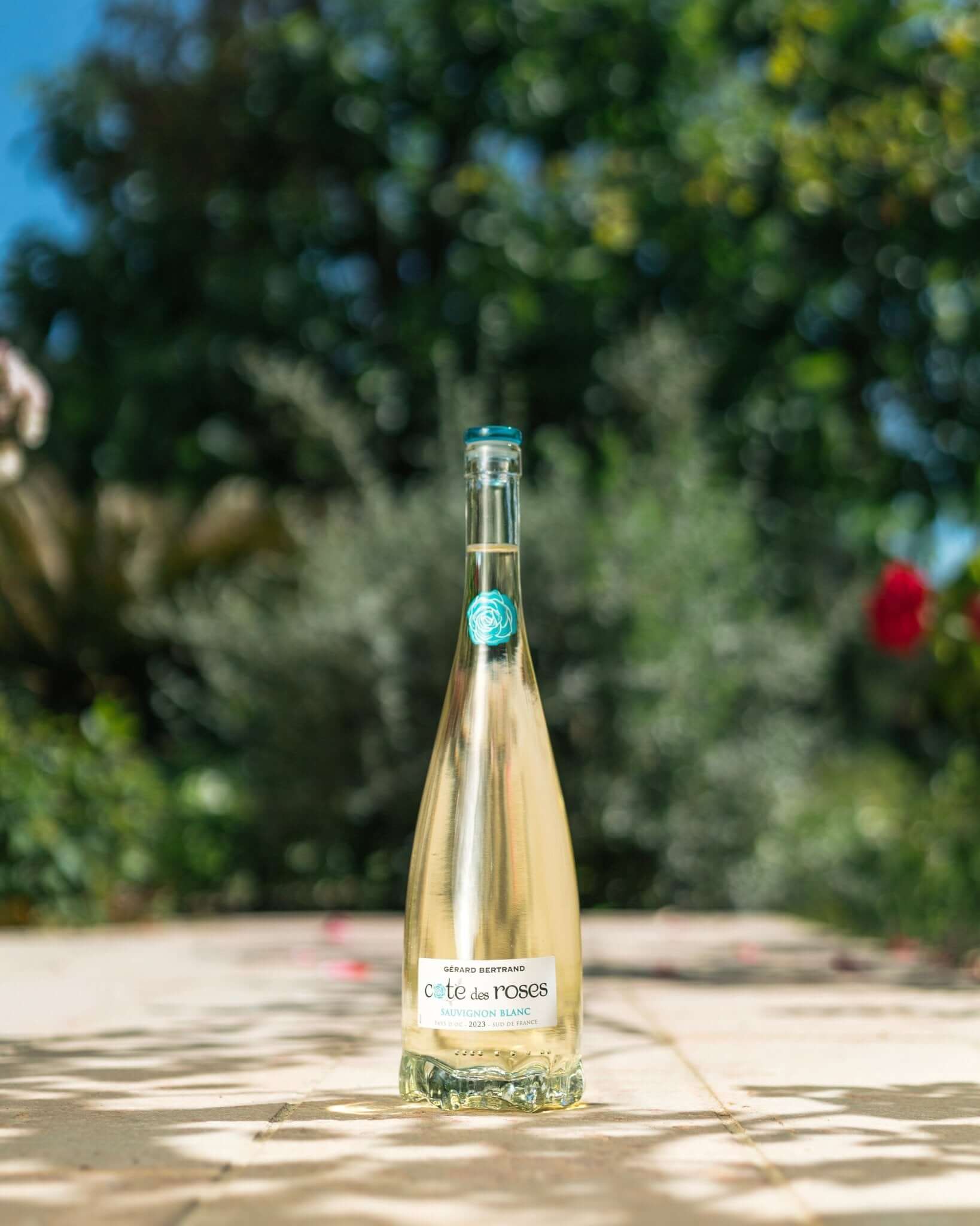 Cote des Roses sauvignon blanc - Main Street Liquor